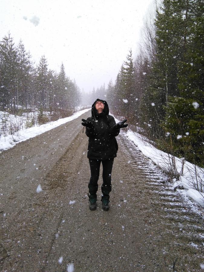 Gafsele Lappland Hostel Väster Gafsele المظهر الخارجي الصورة