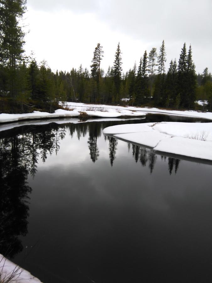 Gafsele Lappland Hostel Väster Gafsele المظهر الخارجي الصورة