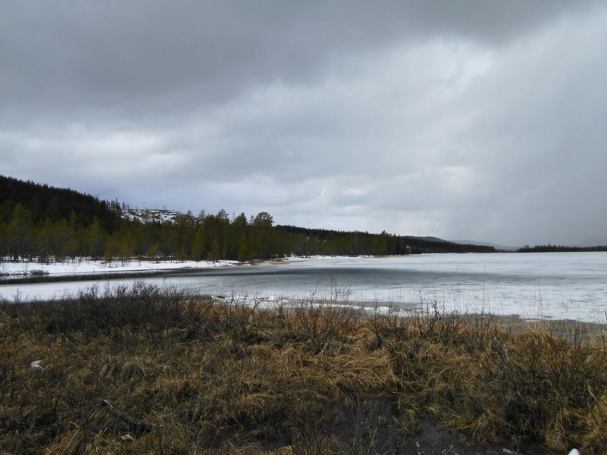Gafsele Lappland Hostel Väster Gafsele المظهر الخارجي الصورة