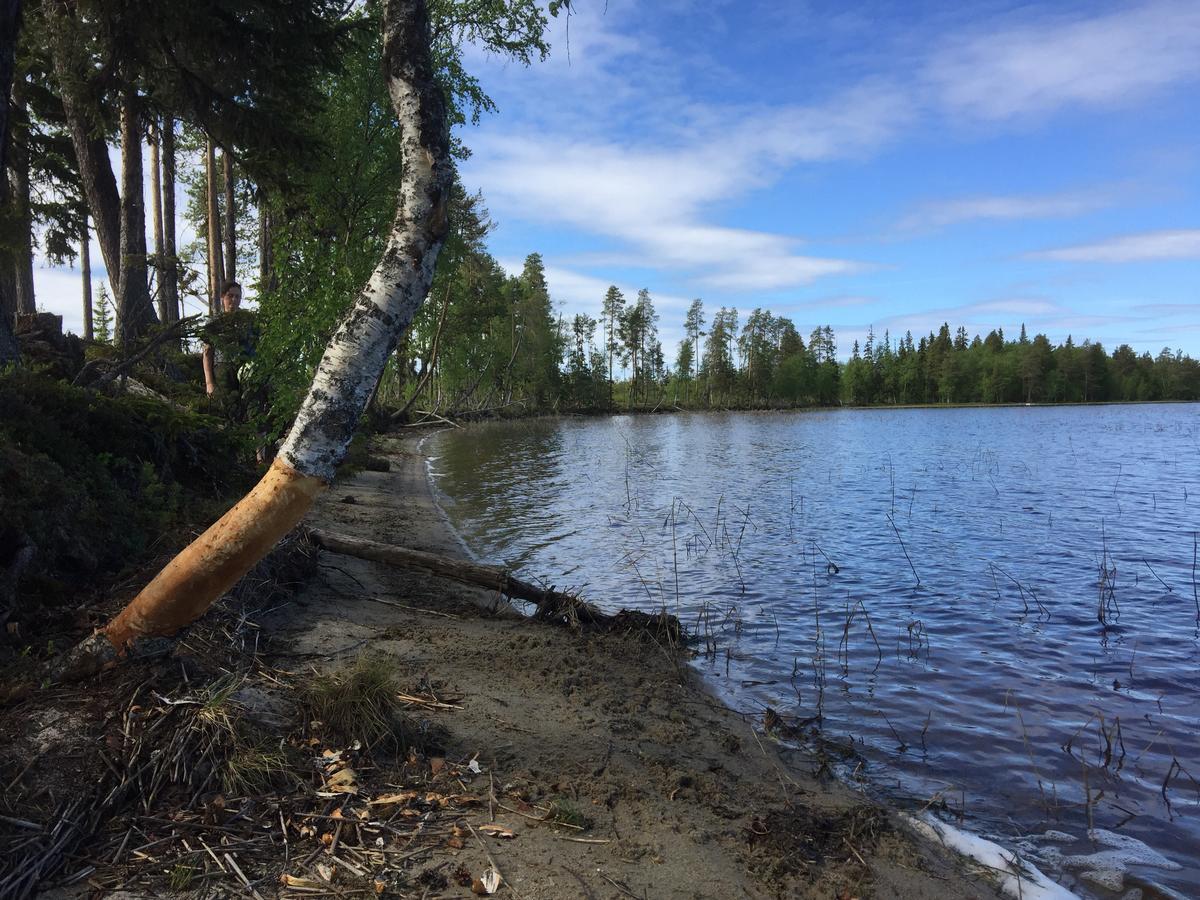 Gafsele Lappland Hostel Väster Gafsele المظهر الخارجي الصورة